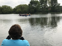 Dragon Boat Race