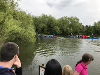 Dragon Boat Race